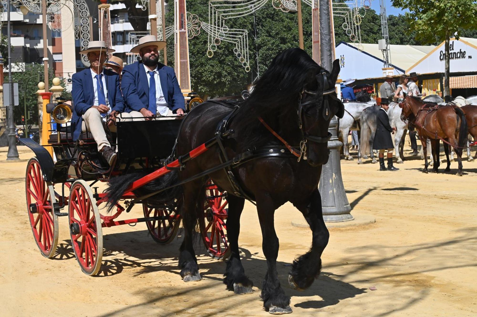 Bienvenidos A San Miguel Daire Jerez de la Frontera Dış mekan fotoğraf